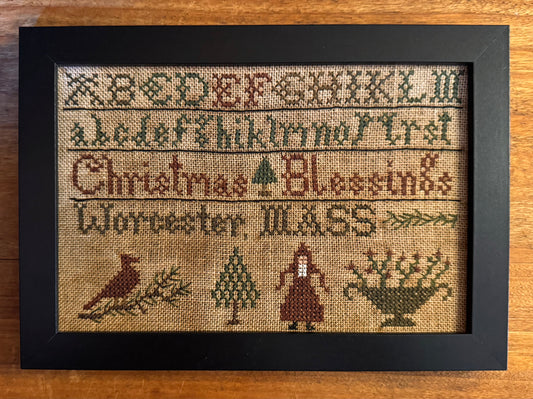 Alpha Christmas Blessings